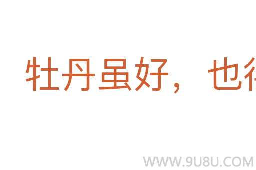 牡丹雖好，也得綠葉扶持
