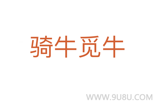 騎牛覓牛