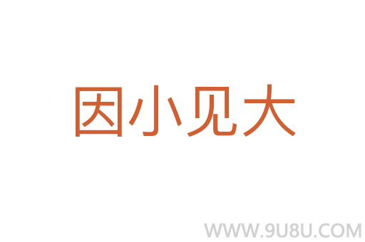 因小見大