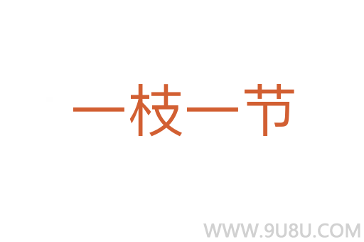 一枝一節
