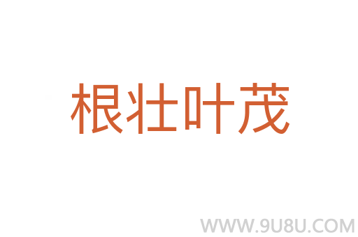 根壯葉茂