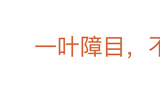 一葉障目,不見泰山
