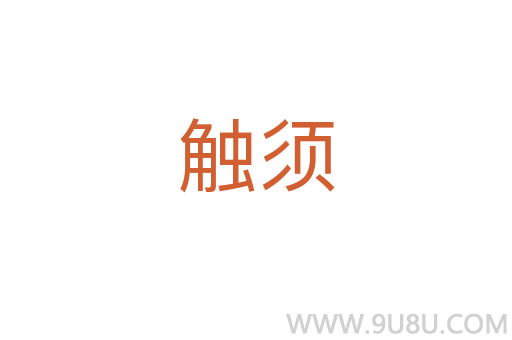 觸須
