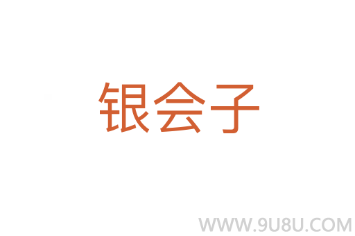 銀會子