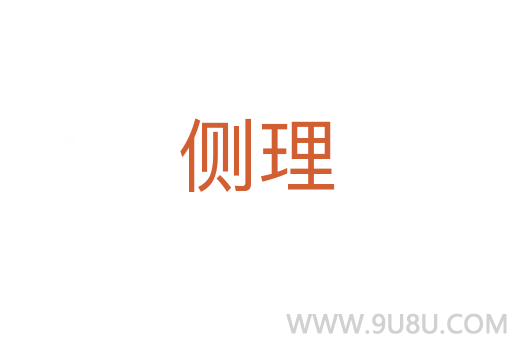 側理