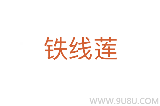鐵線蓮