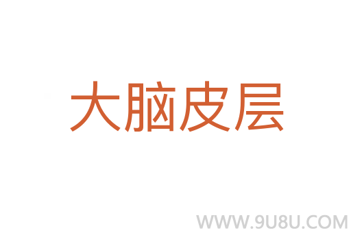 大腦皮層