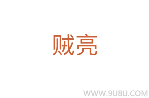 賊亮