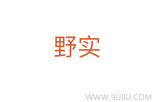 野實(shí)