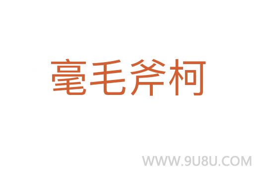 毫毛斧柯