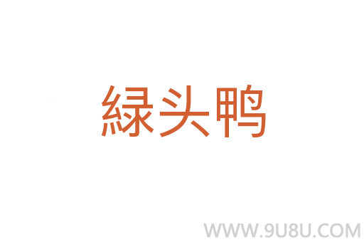 緑頭鴨
