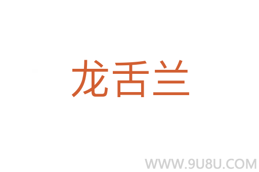 龍舌蘭