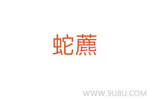 蛇藨