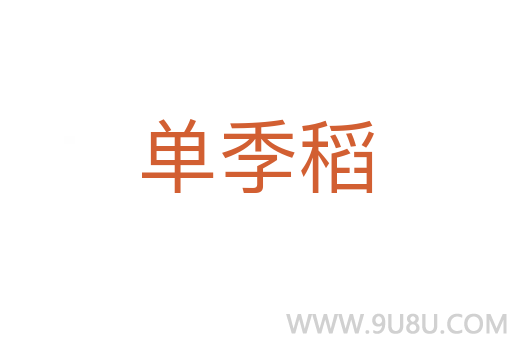 單季稻