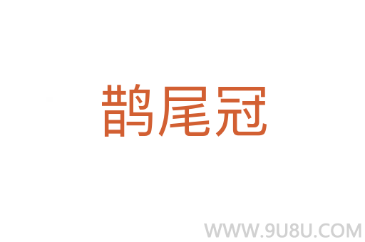 鵲尾冠