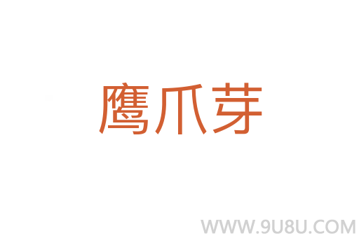 鷹爪芽