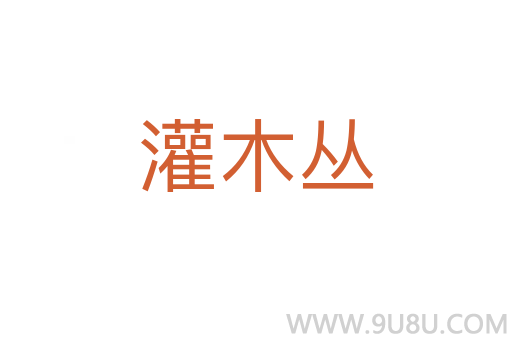 灌木叢