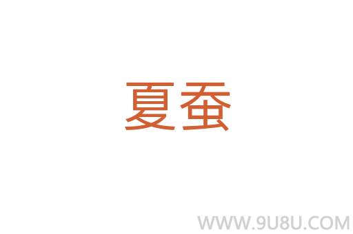 夏蠶