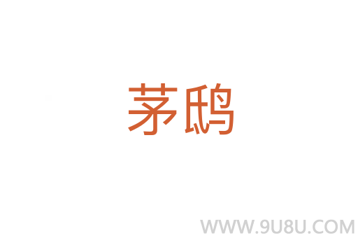 茅鴟
