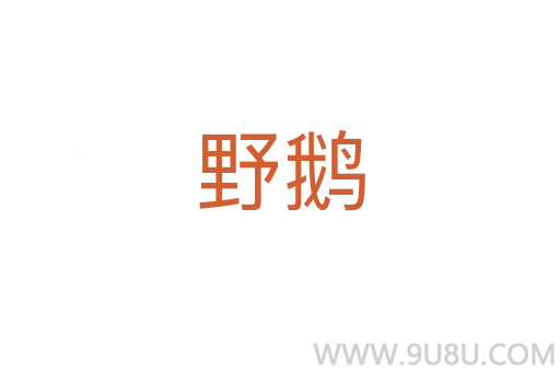 野鵝