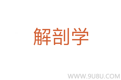 解剖學