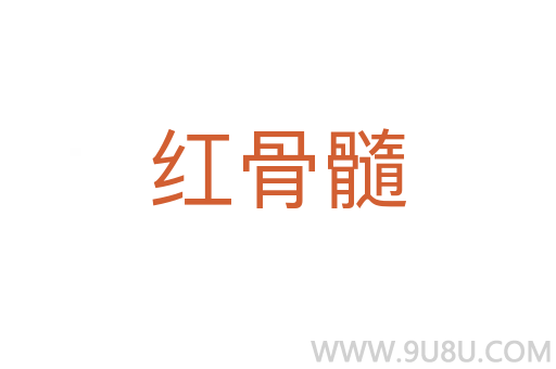 紅骨髓
