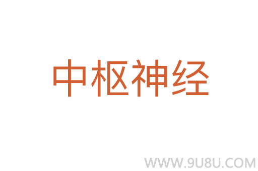 中樞神經