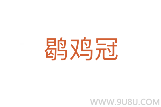 鹖雞冠