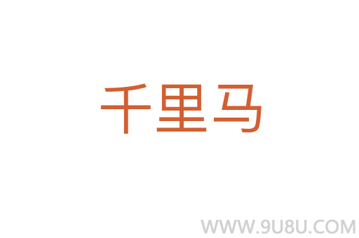千里馬
